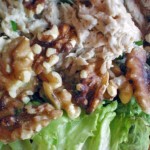 healthy low carb paleo tuna salad with apple and walnuts