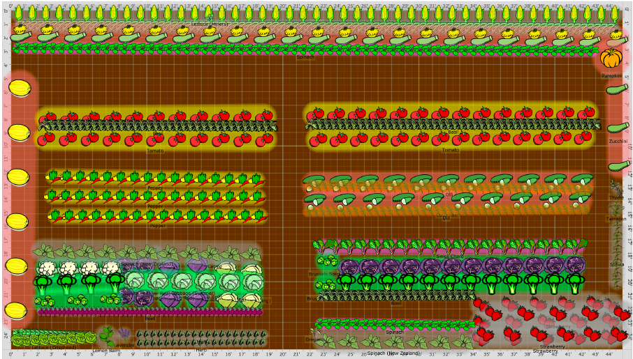 Picture 5 Save Money & Eat Healthier By Gardening