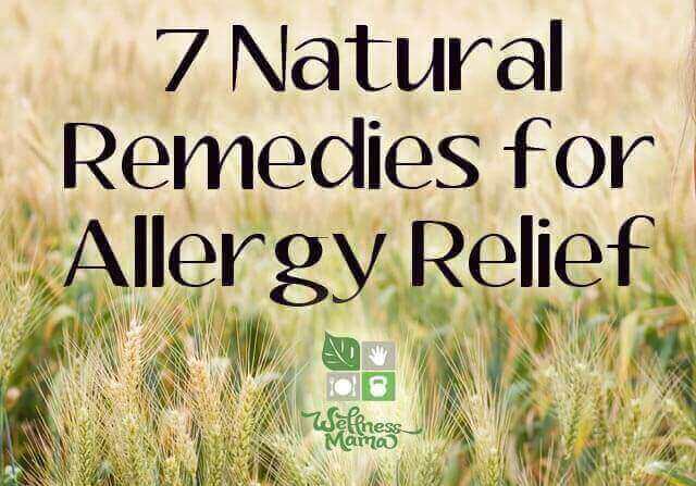 7 Natural Remedies for Allergy Relief | Wellness Mama