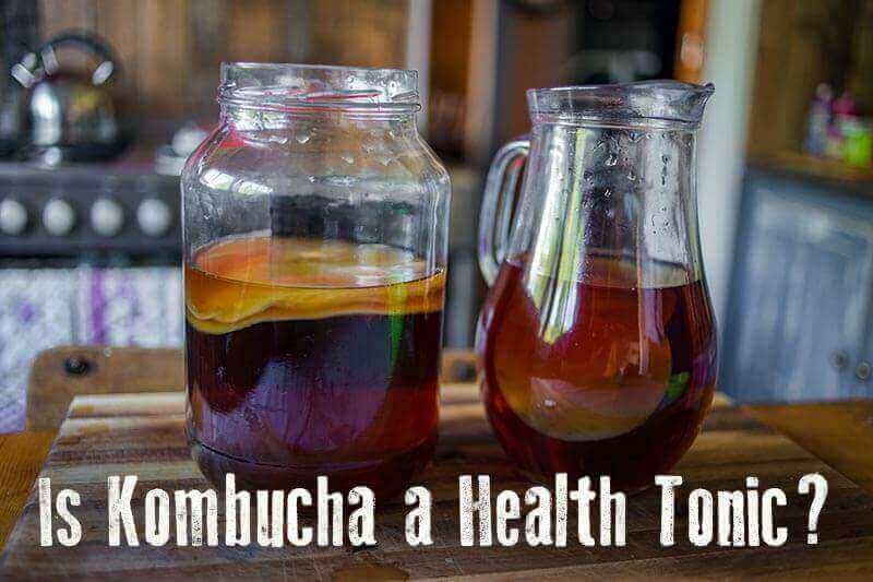 Benefits of Kombucha is it a health tonic or dangerous