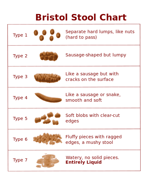 Bristol Stool Chart Is Your Poop Normal?