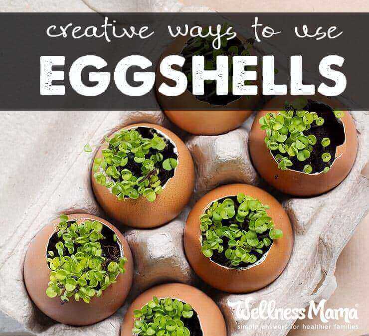 Creative Ways to Use Eggshells
