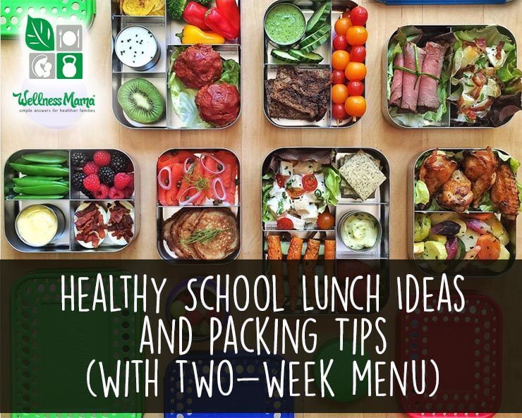 Healthy School Lunch Ideas and Packing Tips with Two Week Menu Plan
