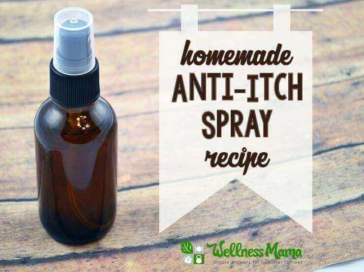 Homemade anti itch spray recipe Homemade Anti Itch Spray
