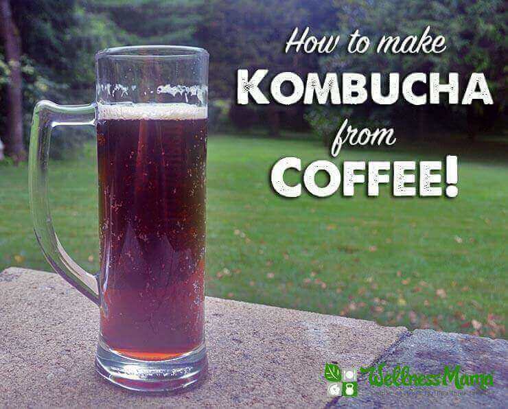 How to Make Kombucha from Coffee How to Make Coffee Kombucha