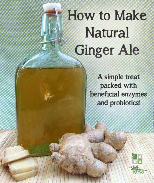 How to make natural ginger ale a healthy and delicious treat full of probiotics and enzymes Natural Ginger Ale 