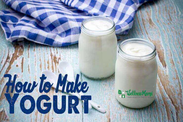How to Make Yogurt (Easy Homemade Recipe) | Wellness Mama