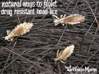 Natural Ways to Fight Drug Resistant Head Lice 200x150 Natural Ways to Fight Drug Resistant Head Lice