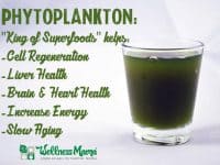 Phytoplankton beneftis for cell health liver health brain and heart health energy and more 200x150 What is Marine Phytoplankton Benefits & Uses