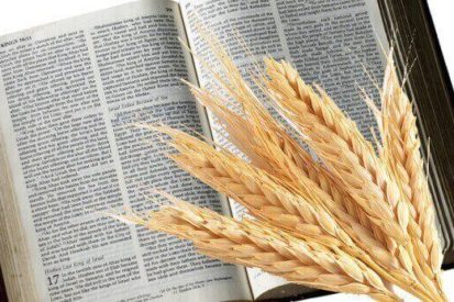 does the bible say we should eat grains