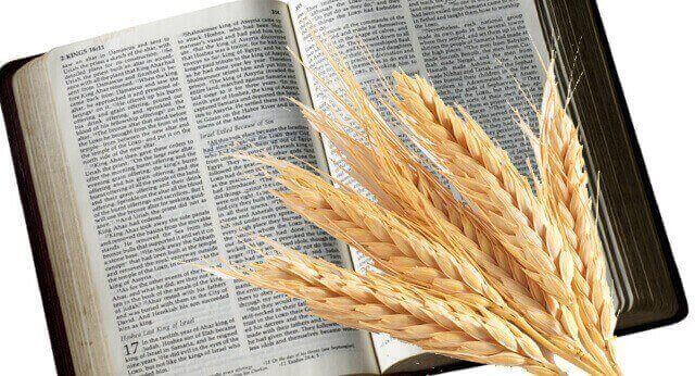 does the bible say we should eat grains