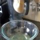 how to make homemade whey and cream cheese from yogurt at home