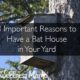 3-important-reasons-to-have-a-bat-house-in-your-yard
