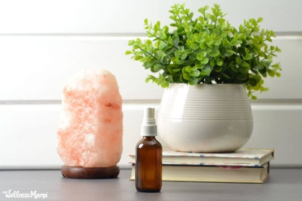 11 Natural Ways to Purify and Clean Indoor Air Wellness Mama