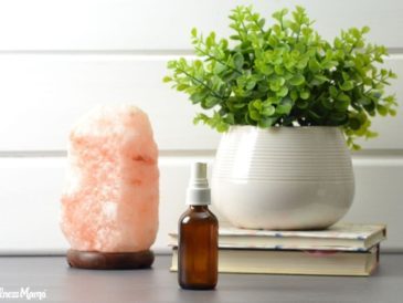 Natural Ways to Clean Indoor Air