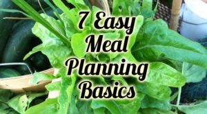 7 Easy Meal Planning Basic Tips