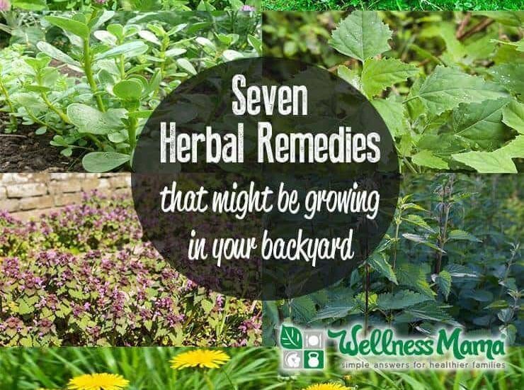 7 Herbal Remedies that Might be growing in your backyard right now