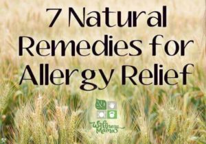 7 remedios naturales para aliviar las alergias