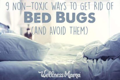 9-non-toxic-ways-to-get-rid-of-bed-bugs-and-avoid-them