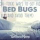9-non-toxic-ways-to-get-rid-of-bed-bugs-and-avoid-them