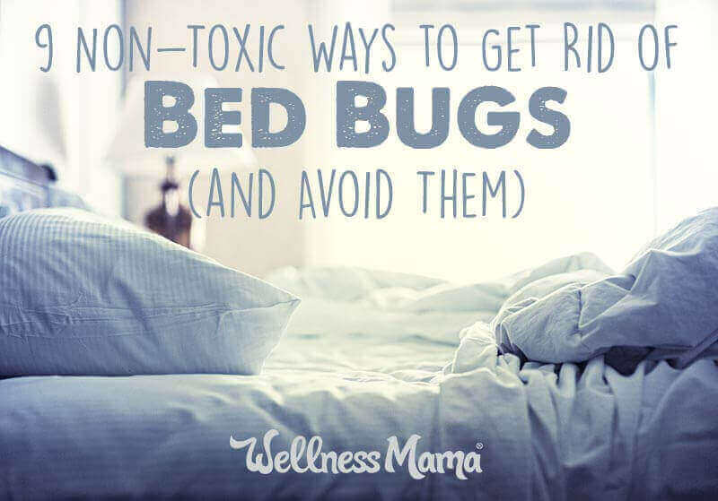 9 Non-Toxic Ways to Get Rid of Bed Bugs (& Avoid Them)