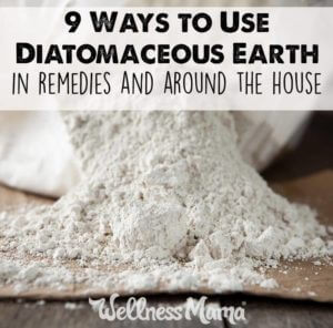 9-ways-to-use-diatomaceous-earth-in-remedies-and-around-the-house