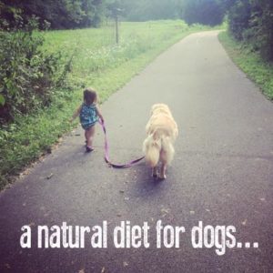 A natural diet for dogs
