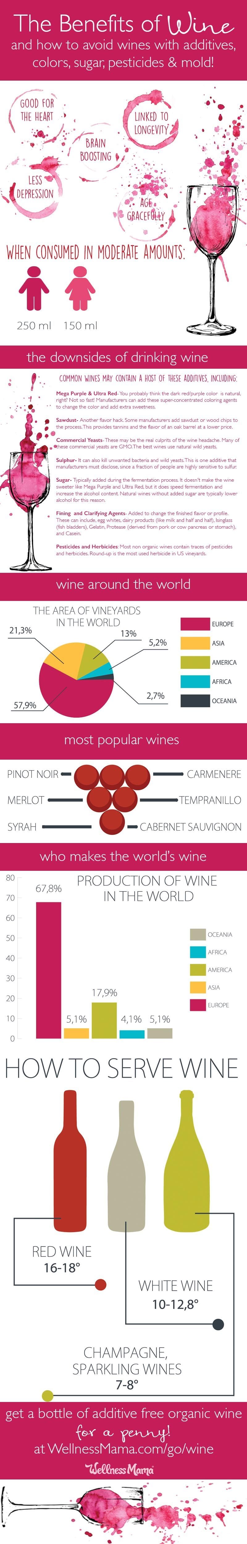 all-about-wine-infographic