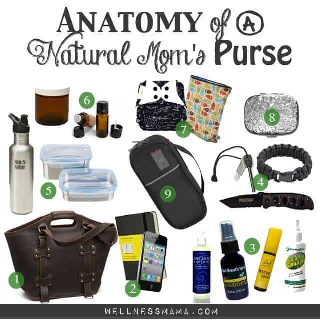 Anatomy of a Natural Moms Purse