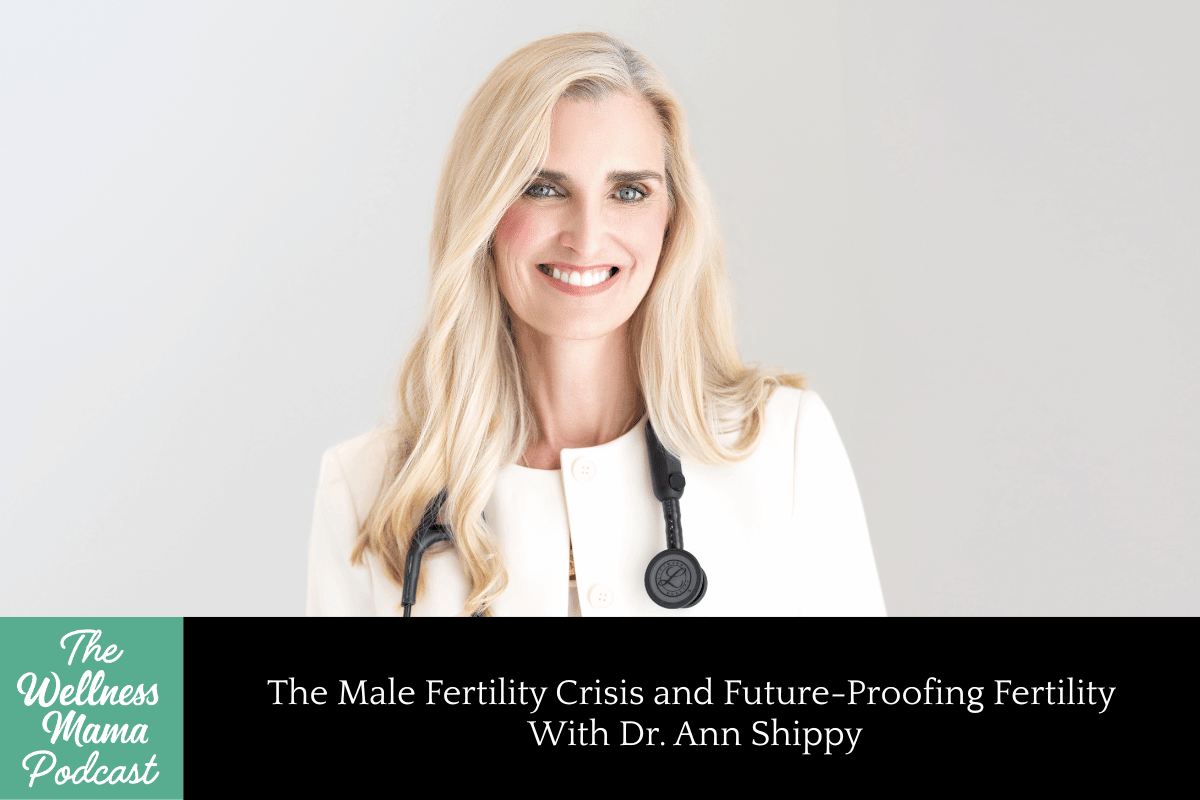 Ann Shippy
