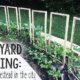 Backyard Farming- How to Homestead in the City