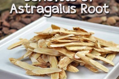 Benefits of Astragalus Root