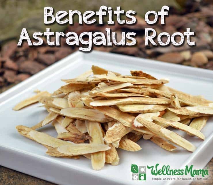Benefits of Astragalus Root