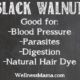 Black Walnut Herb- Good for digestion - parasite removal- hair dye