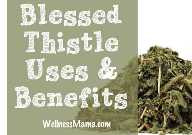 Blessed Thistle uses and benefits