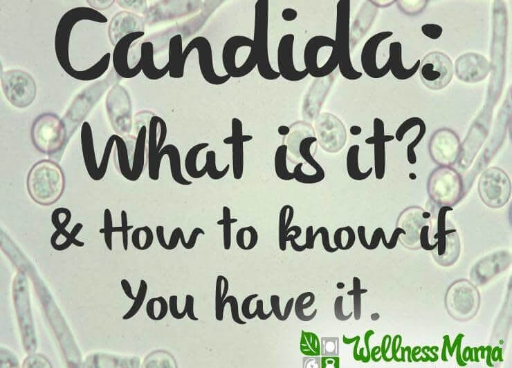 what is candida