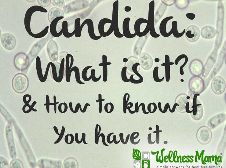 Candida - what is it and how to know if you have it