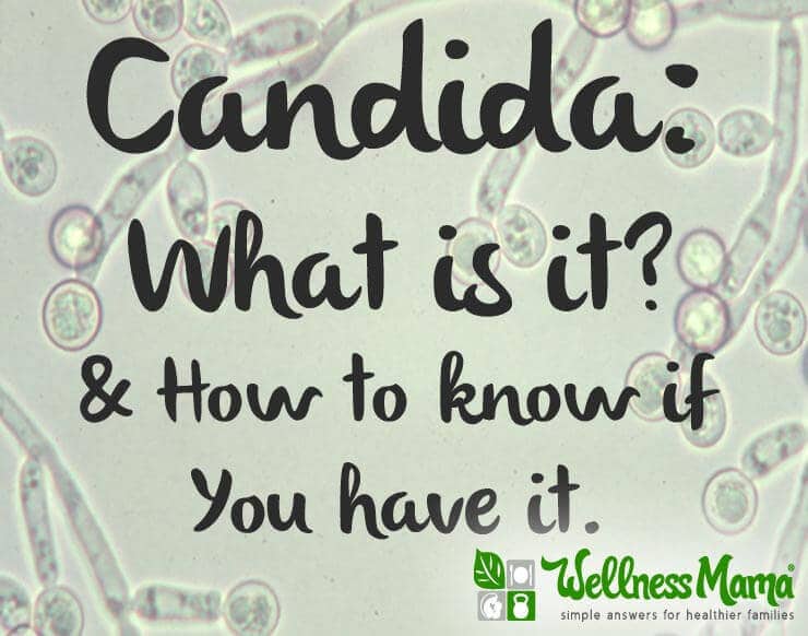Candida - what is it and how to know if you have it