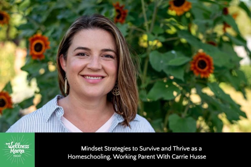 Mindset Strategies to Survive and Thrive as a Homeschooling, Working Parent With Carrie Husse