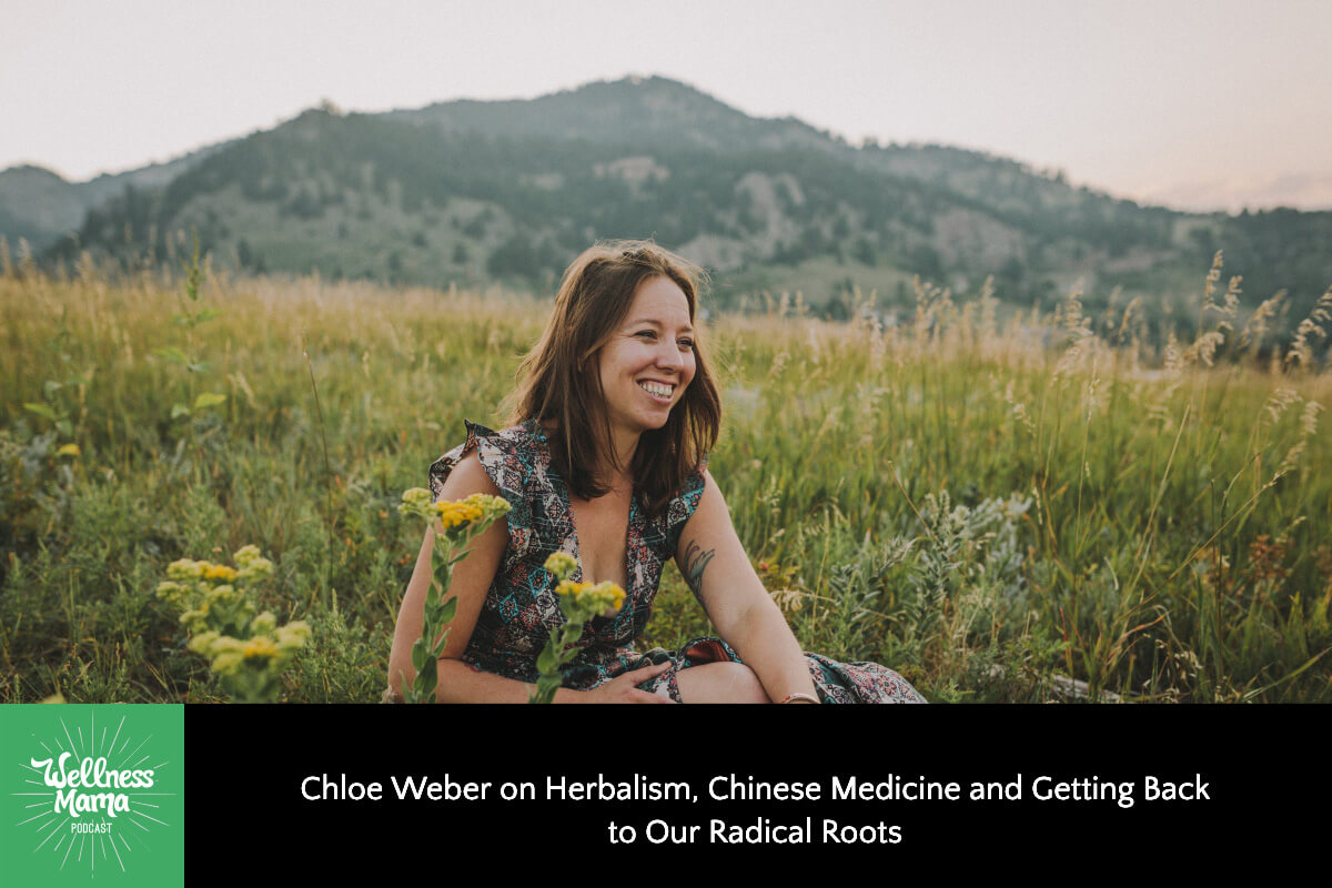 586: Dr. Chloe Weber on Herbalism, Chinese Medicine and Getting Back to Our Radical Roots