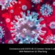 Coronavirus and COVID-19: A Common Sense Guide With Pediatrician Dr. Elisa Song