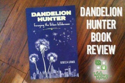 Dandelion Hunter Book Review