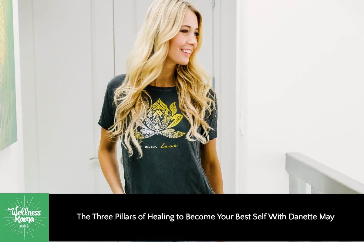 350: The Three Pillars of Healing to Become Your Best Self With Danette May