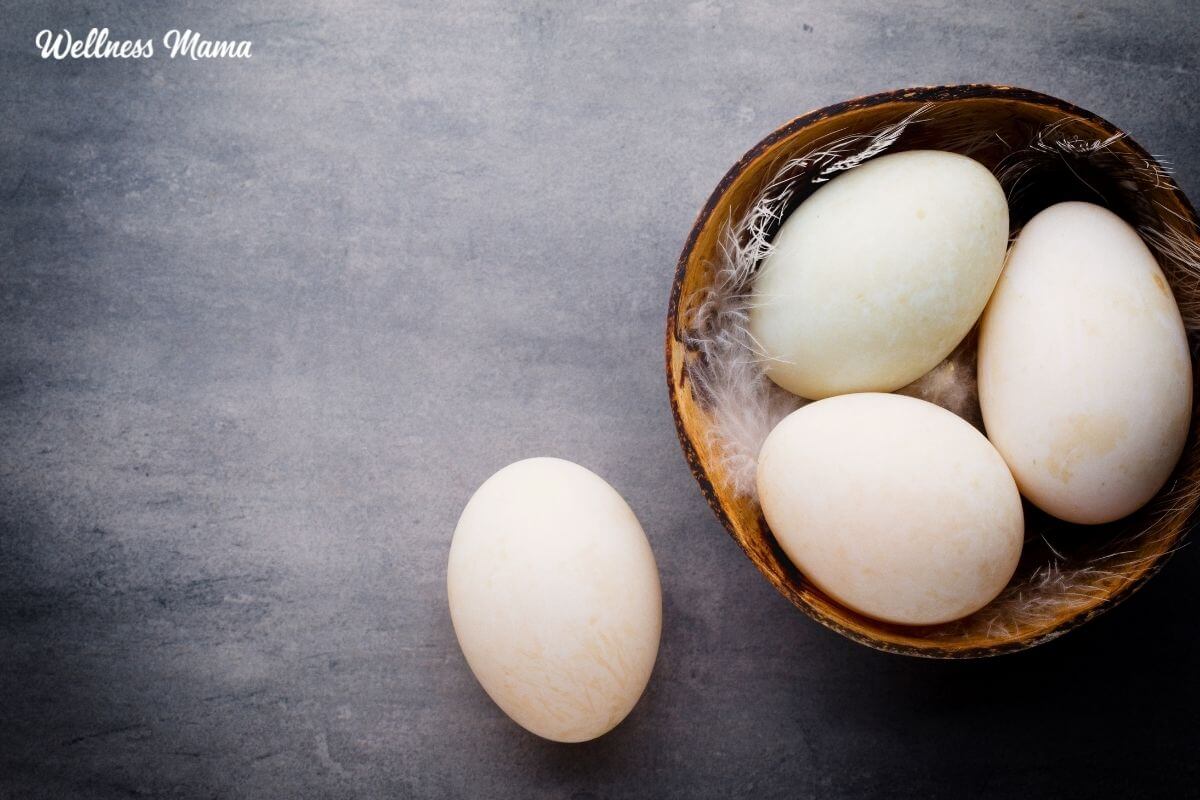Duck Eggs: Have You Tried Them Yet?