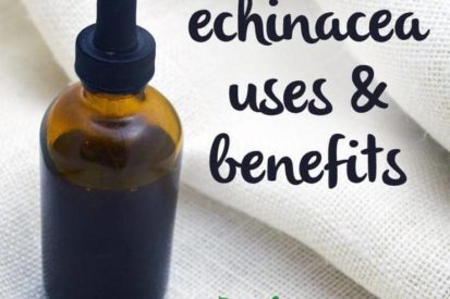 Echinacea Uses and Benefits