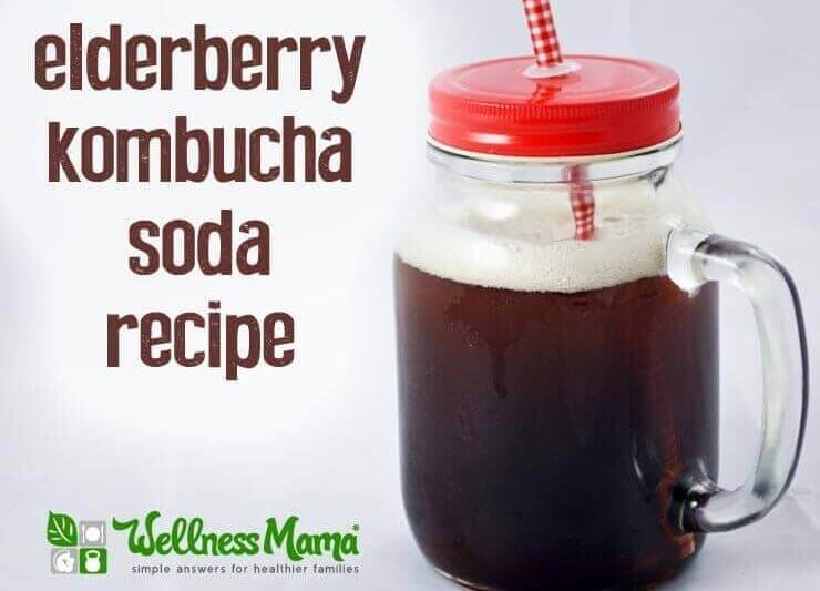 Elderberry Kombucha Soda Recipe Wellness Mama