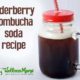 Elderberry kombucha Soda recipe