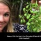 Lessons We Can Learn from Europe and Natural Wines (With Heather!)
