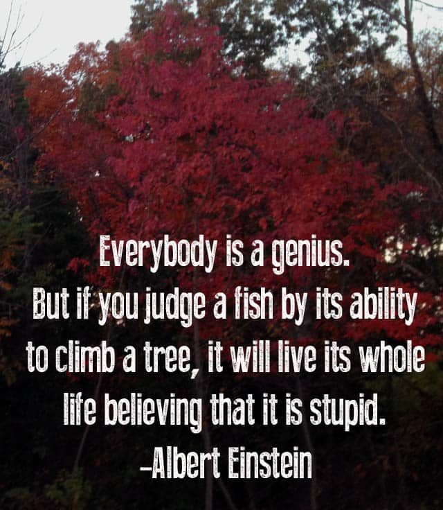 Everybody is a genius- but if you judge