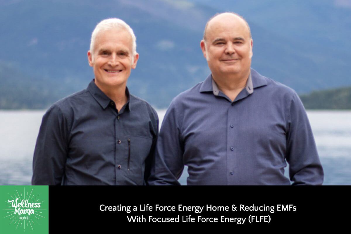 536: Creating a Life Force Energy Home & Reducing EMFs With Focused Life Force Energy (FLFE)